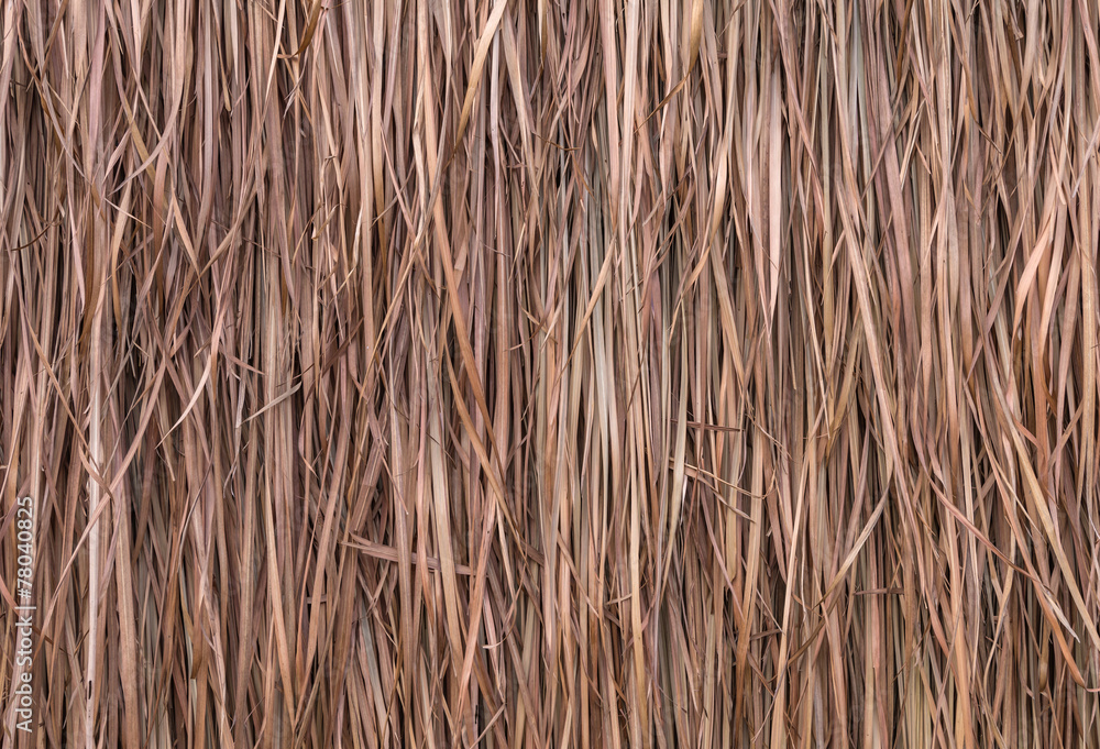 Thatch roof background, hay or dry grass background Thatch roof background, hay or dry grass background