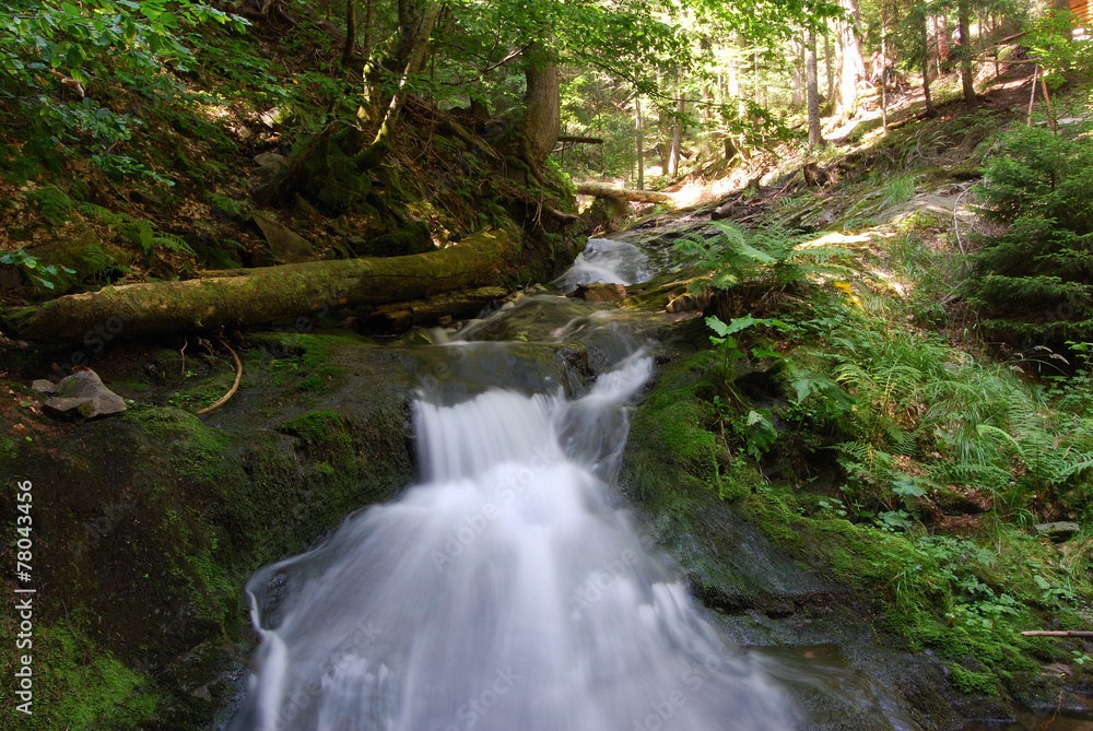 Obraz premium I canyon delle cascate