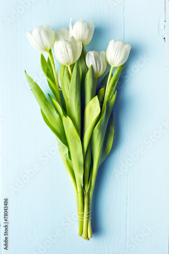 white tulip