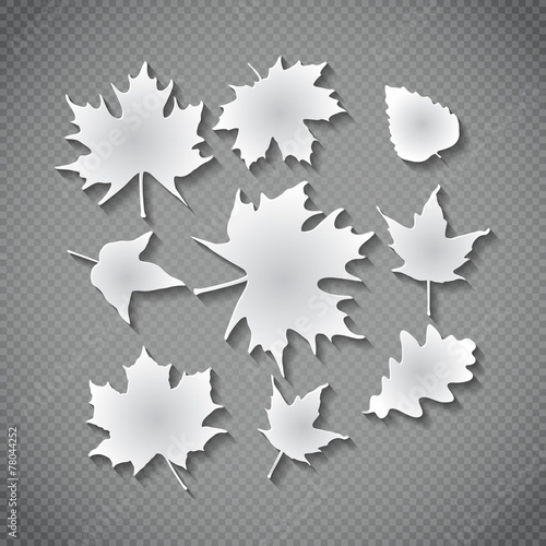 Fototapeta Naklejka Na Ścianę i Meble -  vector leaf background art shadow flora paper