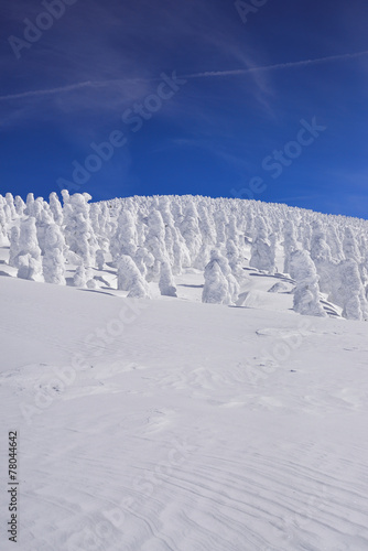西吾妻山の樹氷原 © sandpiper