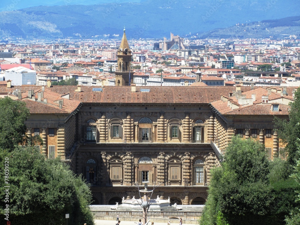 Details des Palazzo Pitti - Florenz - Italien