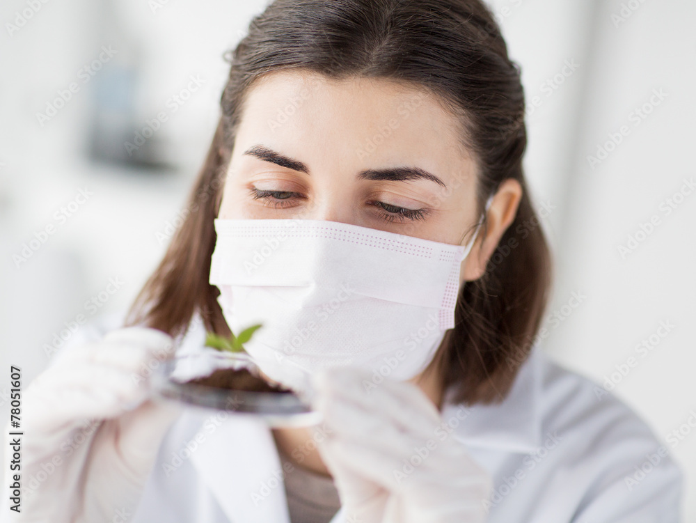 close up of scientist with plant and soil in lab close up of scientist with plant and soil in lab