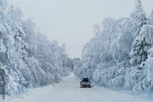 Traveling on car winter road with hanging snowy pine branches