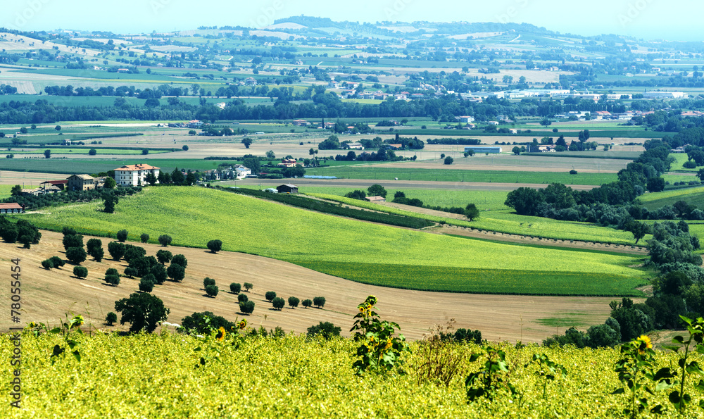 Summer landscape in Marches (Italy)