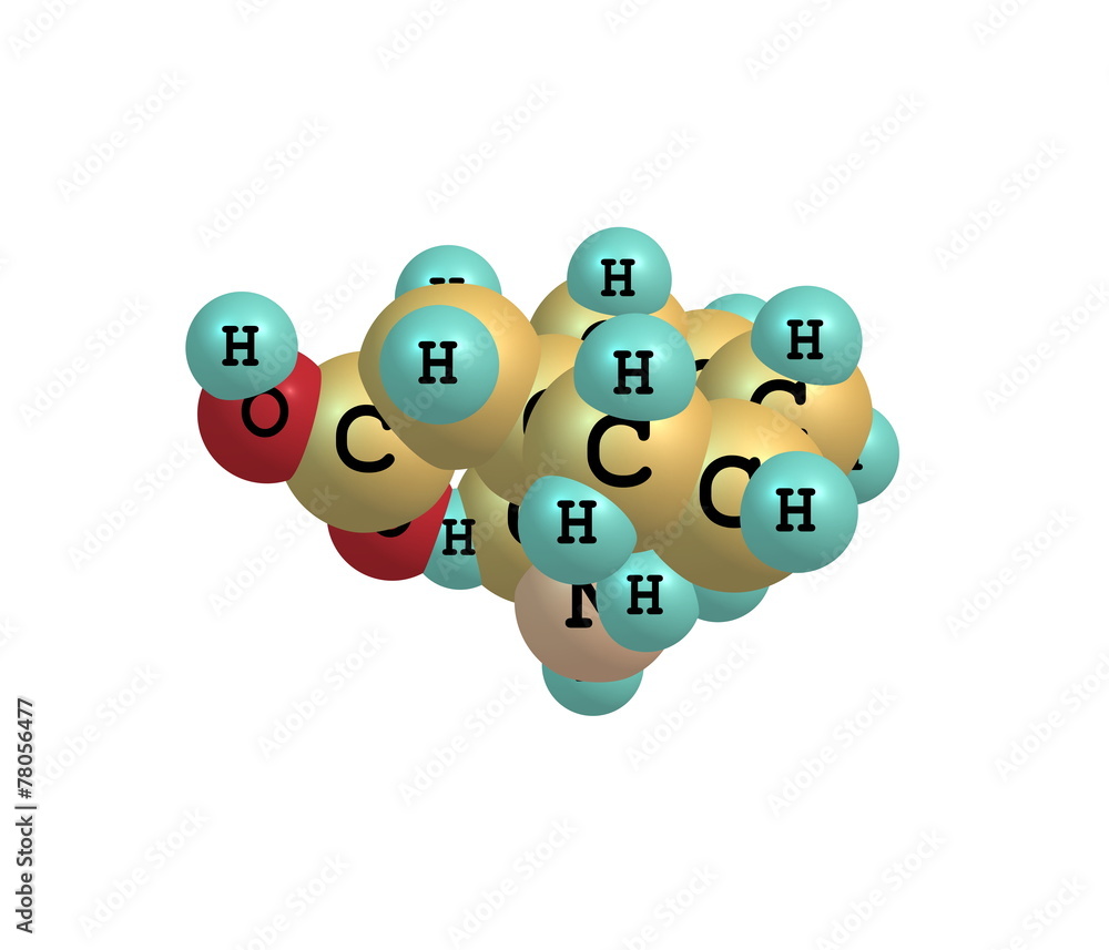 Fototapeta premium Gabapentin molecule isolated on white