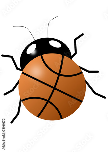 Basketball bug