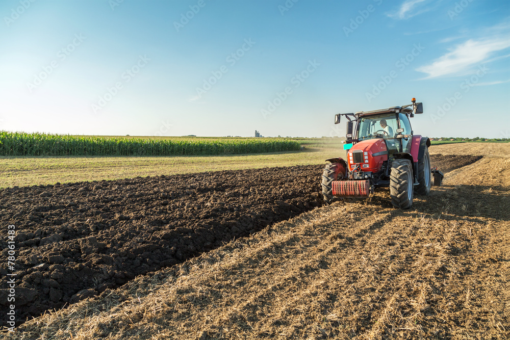 Fototapeta premium Farmer plowing stubble field with red tractor