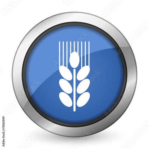 grain icon agriculture sign