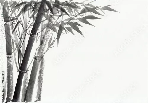 Obraz Akwarela malarstwo bambusa