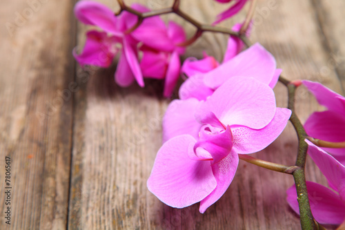 Orchid Phalaenopsis   on a wooden background