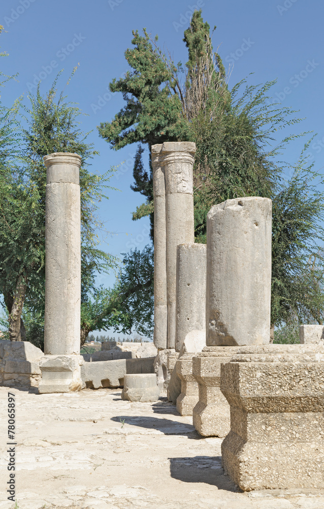 the ruins of the ancient synagogue the ruins of the ancient synagogue