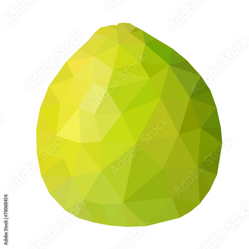 Vector low poly green pomelo