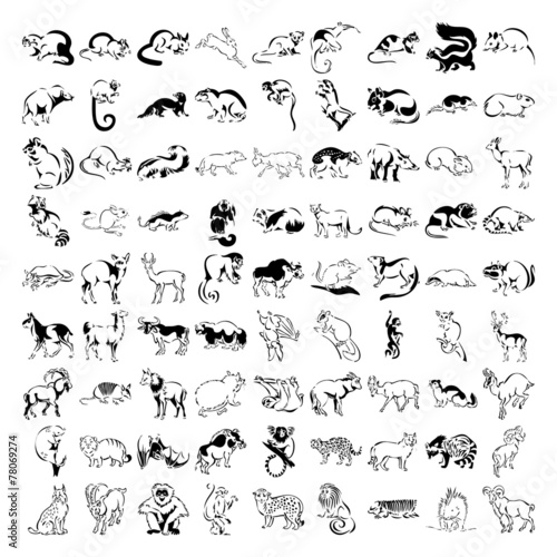 big collection of many cartoon animals in vector