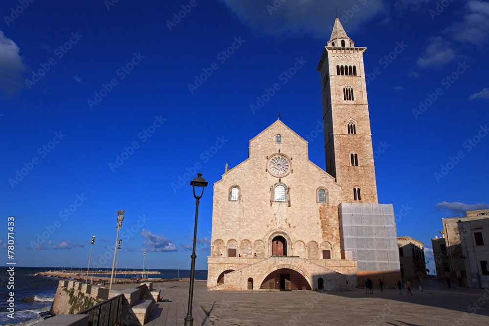 Fototapeta premium cattedrale di San Nicola Pellegrino