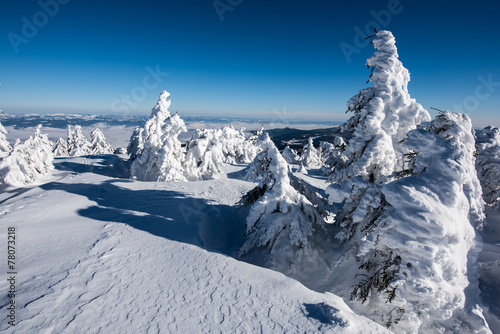Snowy landscape in east Carpathians mountains, Harghita region.