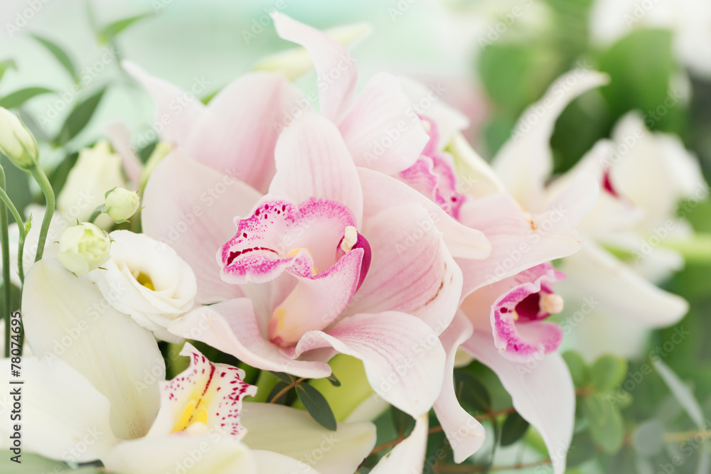 Obraz premium Orchid flowers