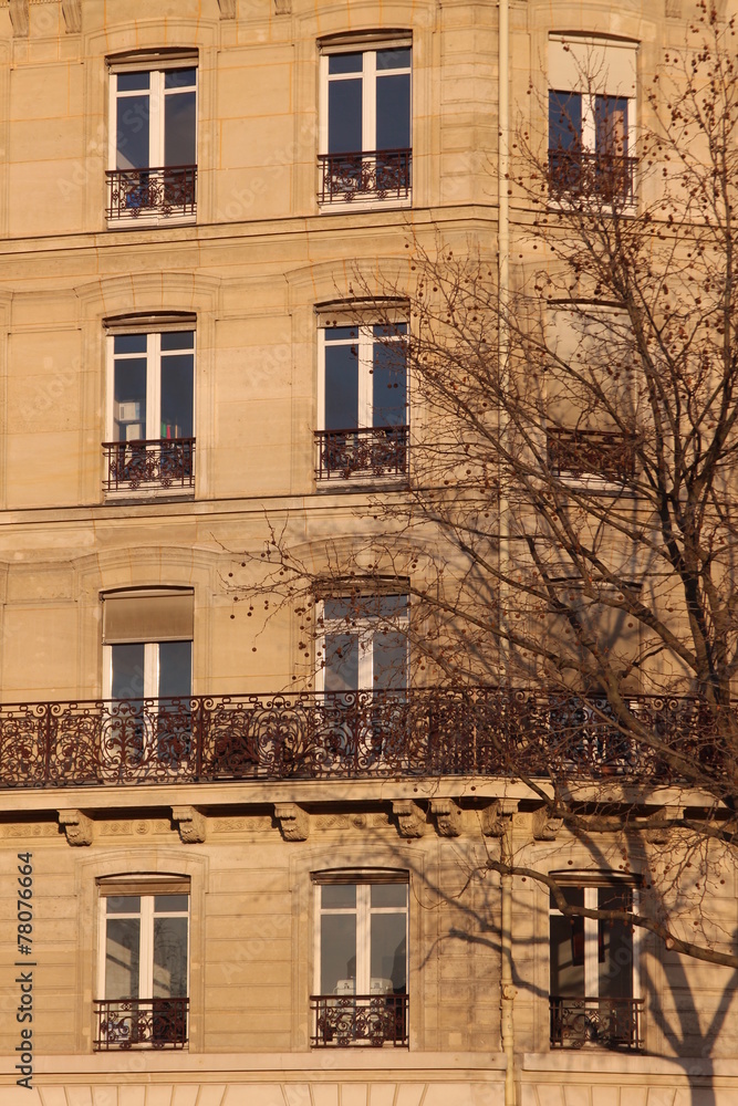 Naklejka premium Aligned windows on typical parisian building