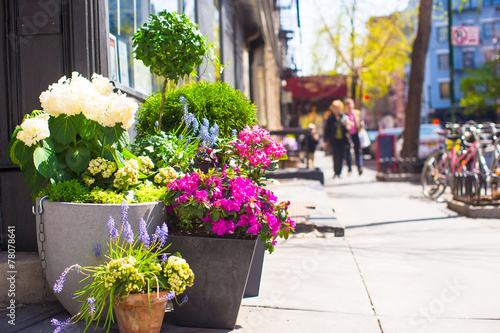 Photography Bright flowers in a pot at New York streets