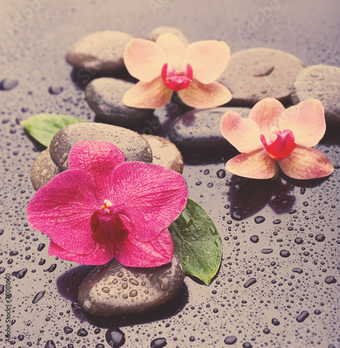 Beautiful blooming orchid with spa stones, close-up