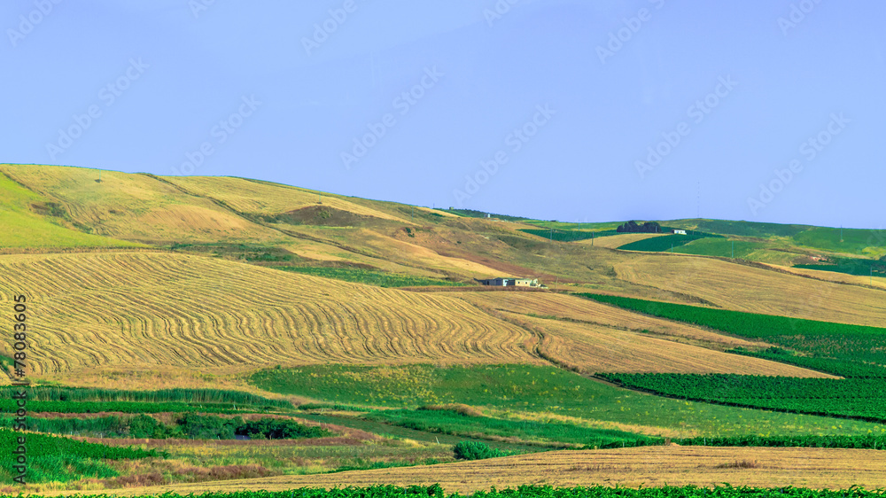 Sicily Summer Landscape Sicily Summer Landscape