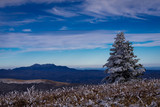 Roan Mountain Winter Hike 11