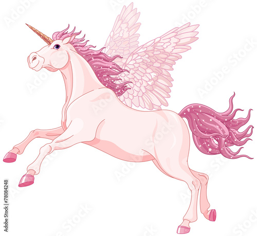 Fairy unicorn