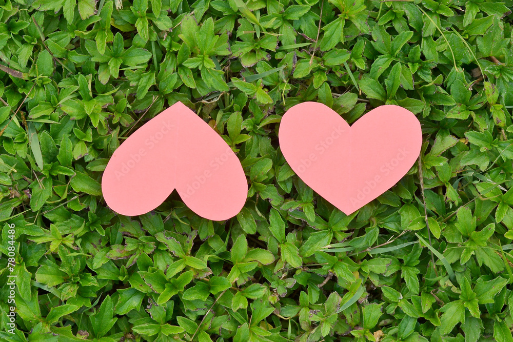 pink heart and green grass valentines day background. pink heart and green grass valentines day background.