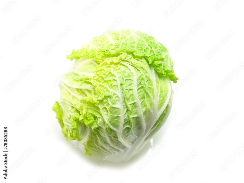 fresh green cabbage on white background fresh green cabbage on white background
