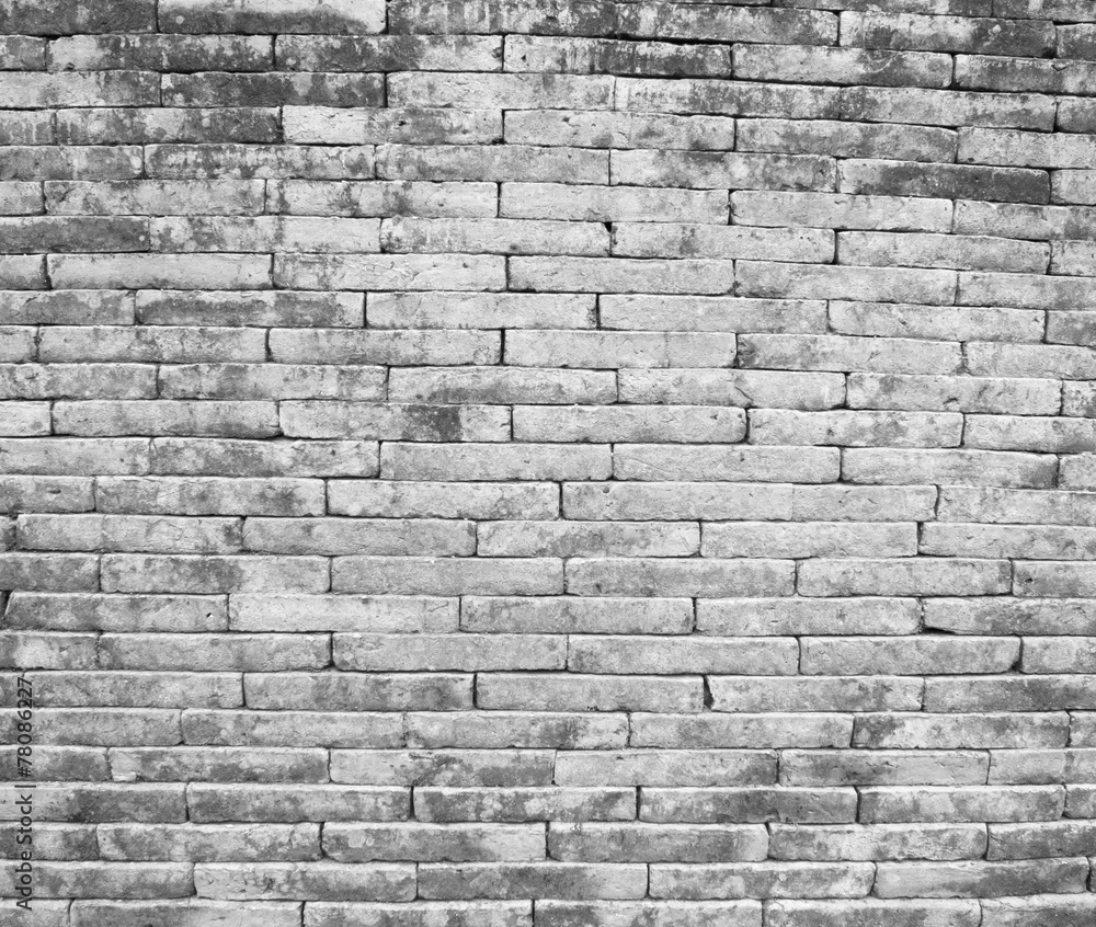 Obraz premium brick wall