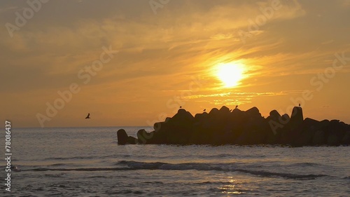 Sunset sea and birds,in Tsuruoka,Yamagata,Japan / 鶴岡の夕暮れ photo