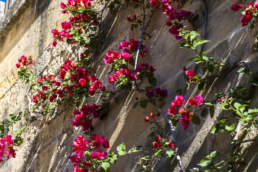 Naklejka premium Almodovar del Rio Castle, Cordoba, Andalusia, Spain.