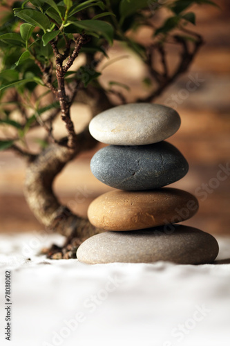 Stacked stones on sand with bonsai tree