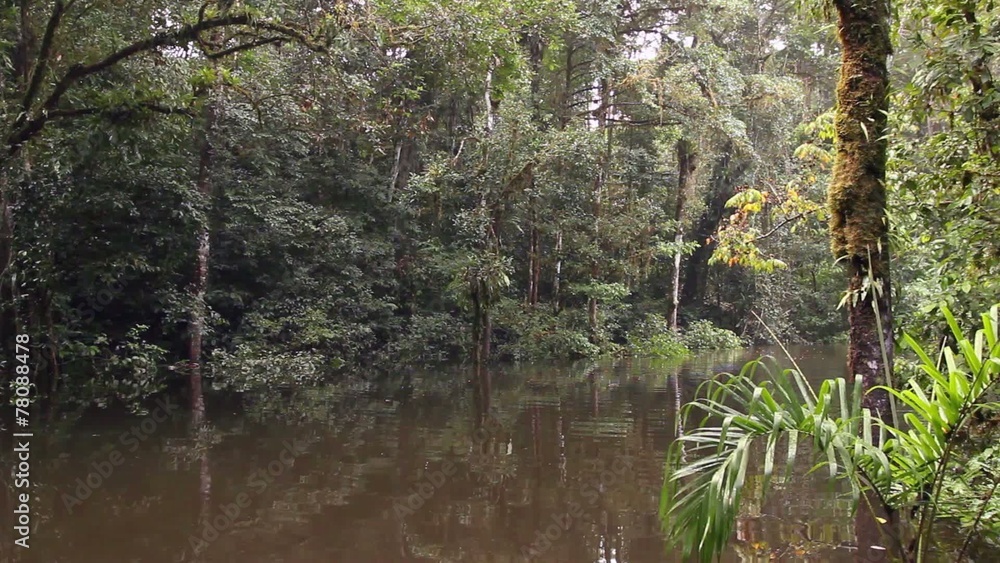Drifting through an Amazonian oxbow lake Drifting through an Amazonian oxbow lake