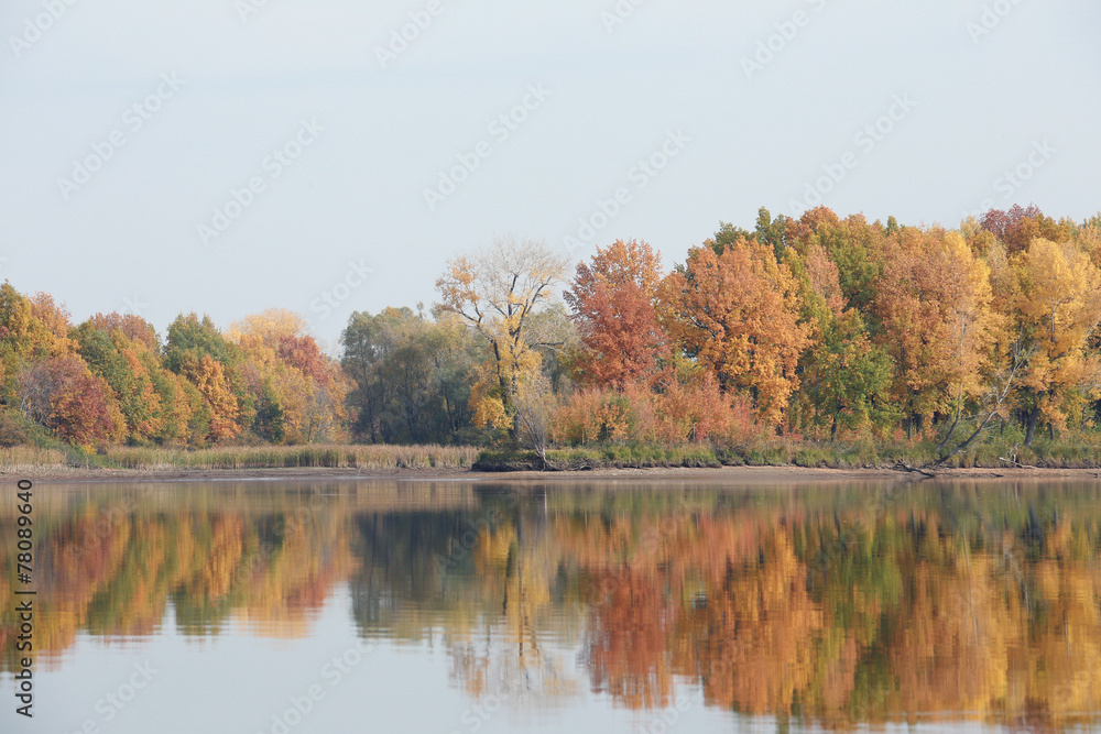 autumn trees reflected in the river autumn trees reflected in the river