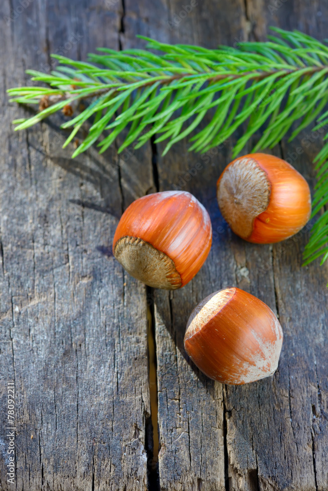 Obraz premium Hazelnuts isolated on a table wood