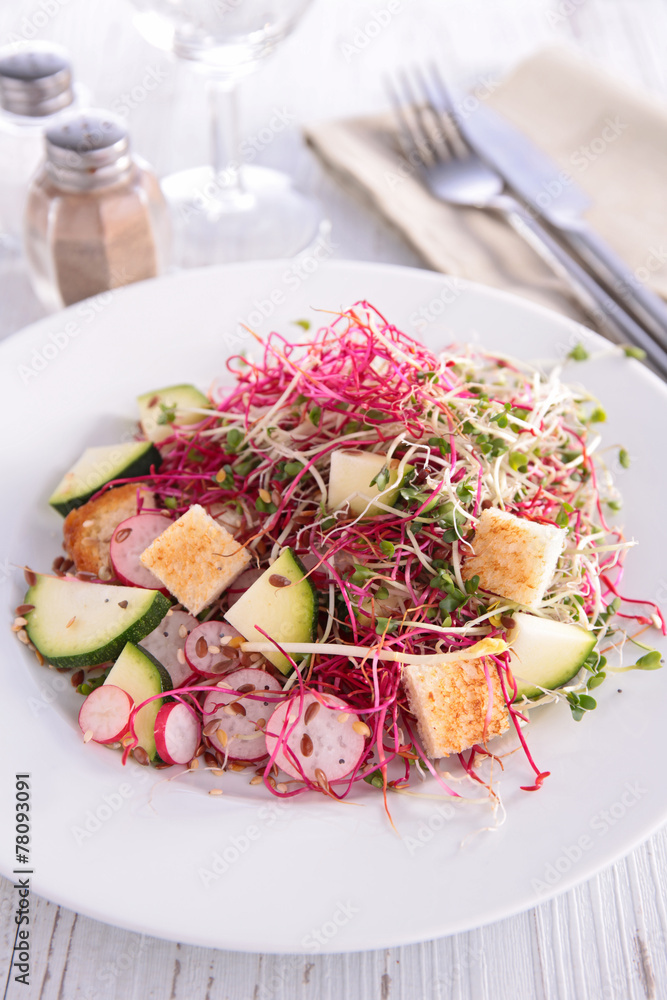 vegetable salad vegetable salad