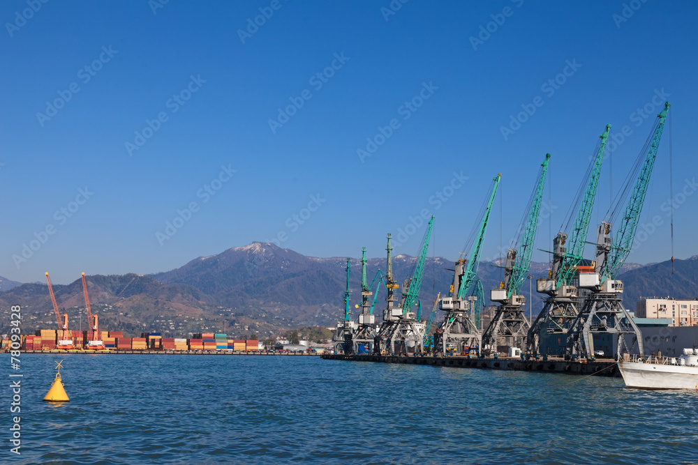 Industrial cranes in Batumi