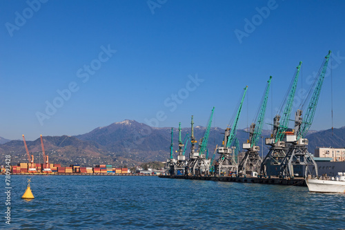 Industrial cranes in Batumi