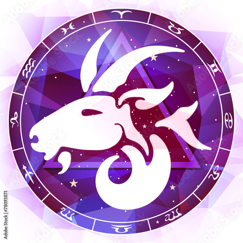 zodiac sign Capricorn