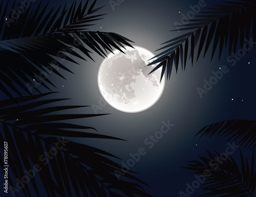Tropical moon photo