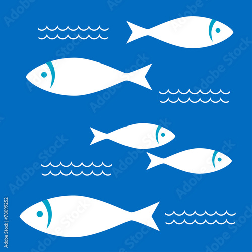 White fishes in the blue sea