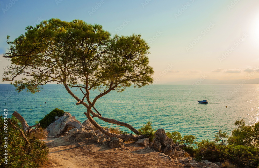 Obraz premium Evening landscape over Mediterranean Sea of La Pineda in Spain