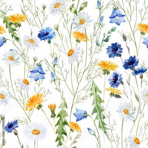 Wildflowers