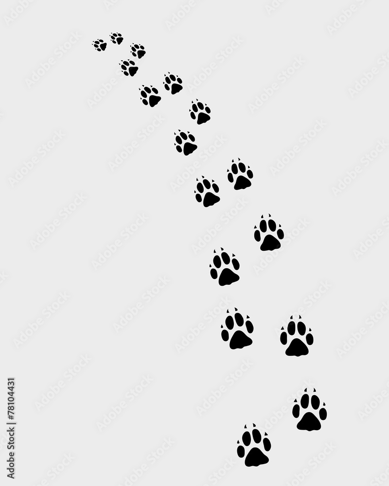 Black trail of dog, turn left, vector Black trail of dog, turn left, vector