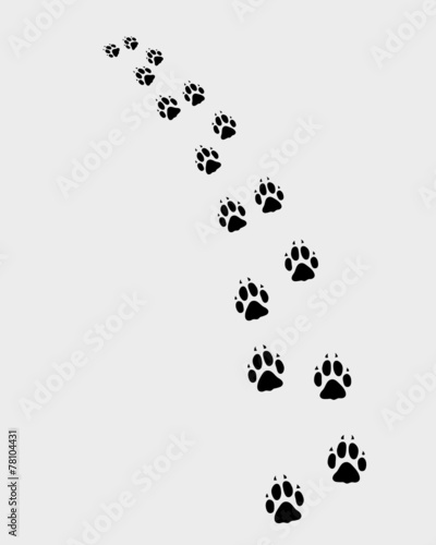 Black trail of dog  turn left  vector