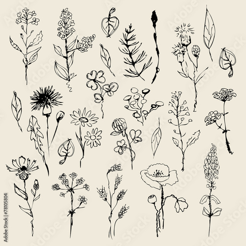 Floral set  hand drawn