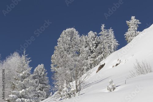 Wallpaper Mural Winter Landscape Torontodigital.ca