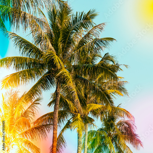 Palm tree © siraphol