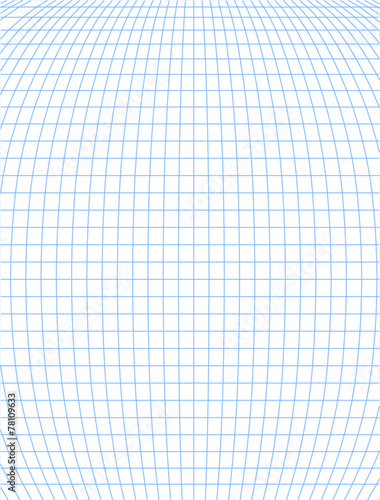 Longitude latitude lines vector